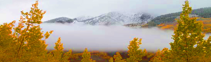 crested butte condo rentals