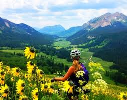 crested butte mountain bike rentals