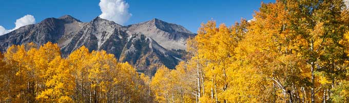 crested butte condo rentals