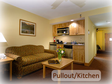 pet friendly condo in crested butte