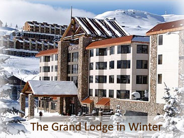 crested butte 2 bedroom condo