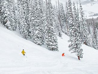 winter activities in crested butte!
