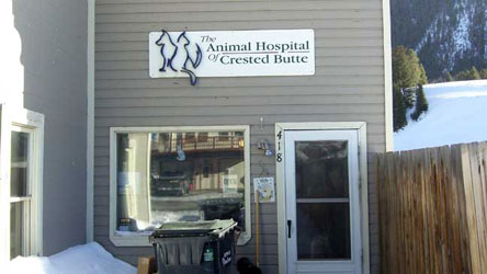 animal hospital of crested butte