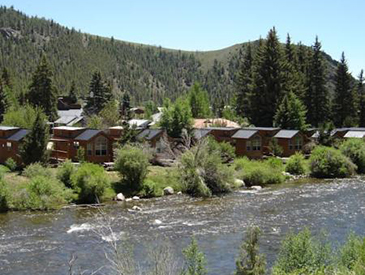 petfriendly cabin for rent near crested butte