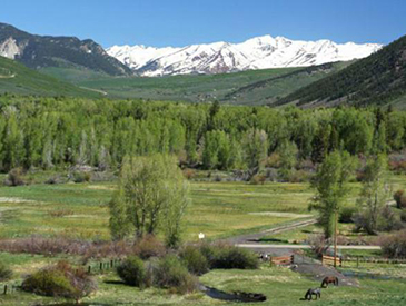 cabin for rent near crested butte