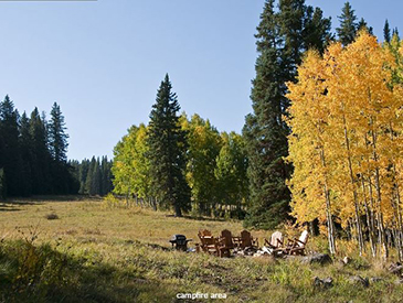 pet friendly rental home in crested butte