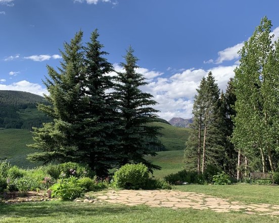 wedding garden for yoga crested butte