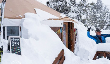 yurt brunches crested butte